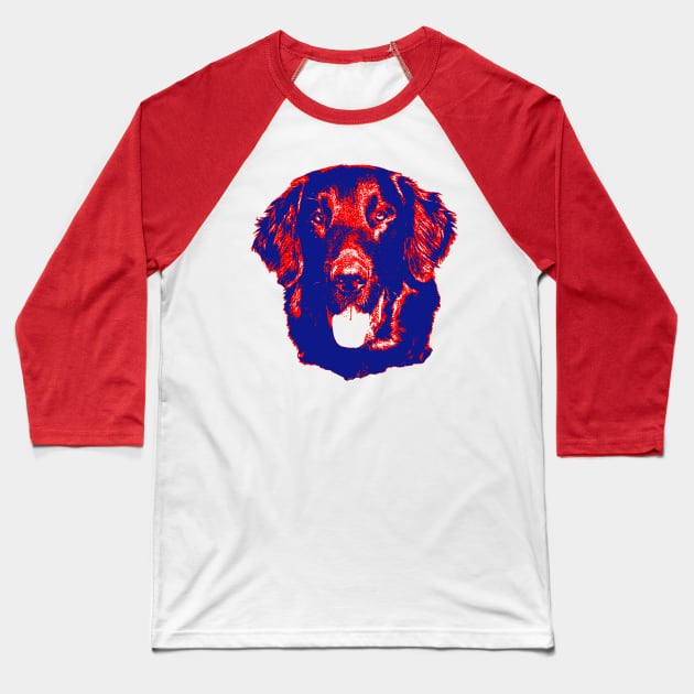 Flat-Coated Retriever Baseball T-Shirt by childofthecorn